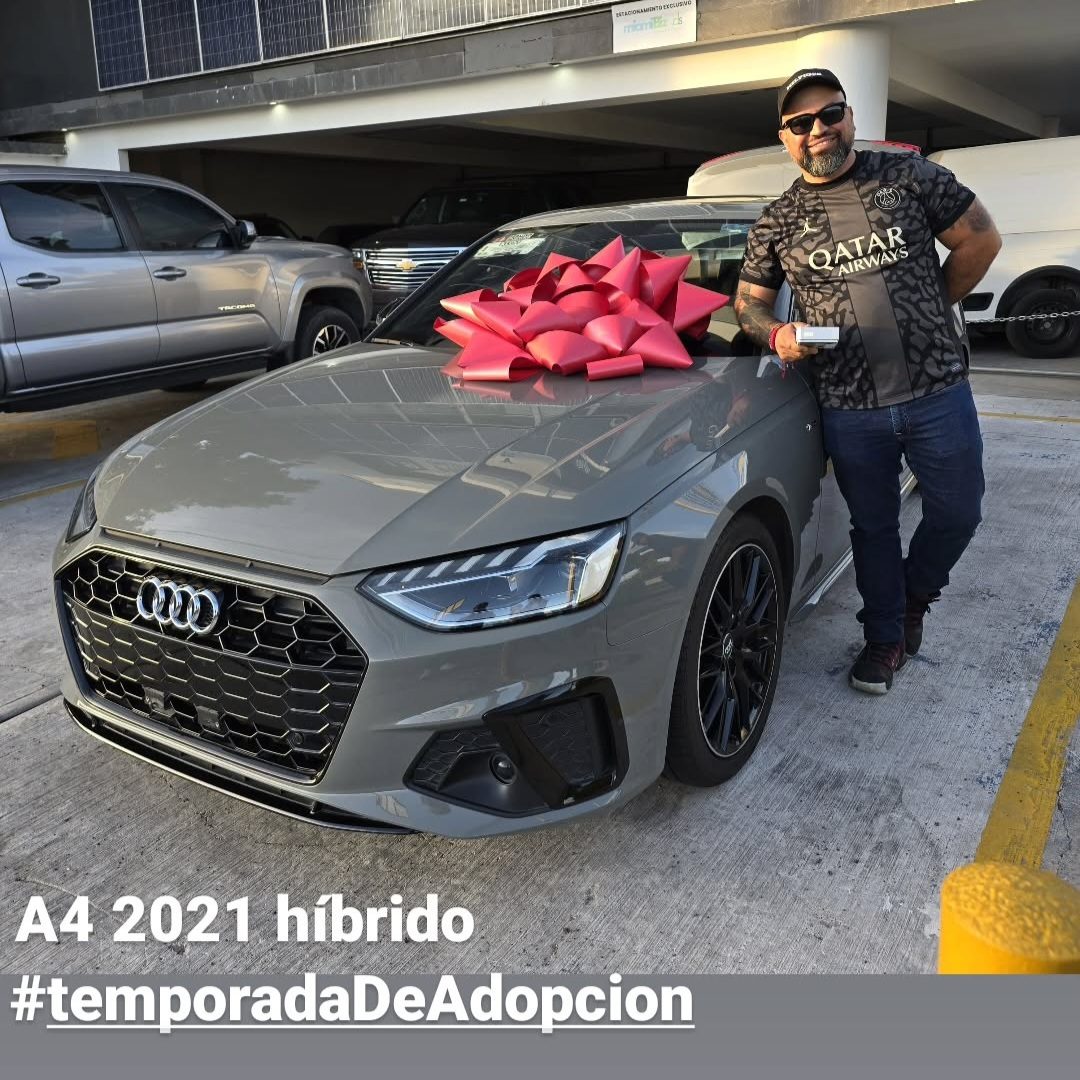 Entrega Ships #43